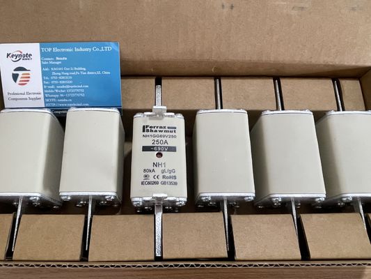 NH1GG69V250P IGBT Module 250A High Current 1200V Voltage Low Vce(sat) High Efficiency Robust Isolation 175°C Rating Compact Design for Industrial Drives & UPS Systems
