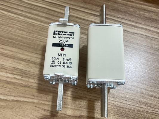 NH1GG69V250P IGBT Module 250A High Current 1200V Voltage Low Vce(sat) High Efficiency Robust Isolation 175°C Rating Compact Design for Industrial Drives & UPS Systems